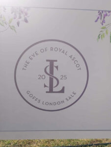 goffs-london-sale-on-the-eve-of-royal-ascot-image-3